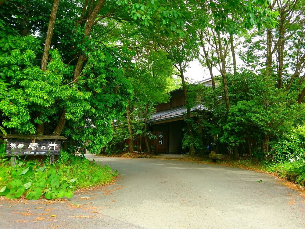 Kurokawa Onsen Ryokan Ichinoi Мінаміоґуні Екстер'єр фото